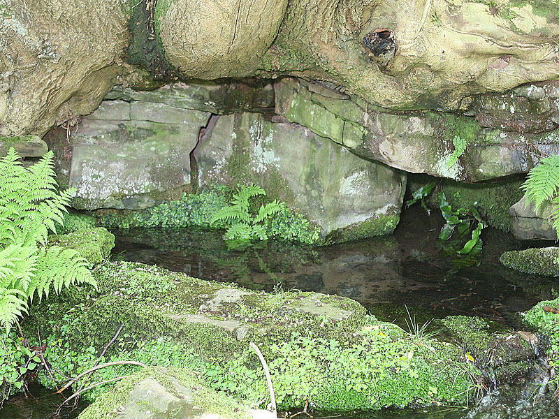 Rock Water